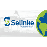 Selinke Consulting and Advisory logo, Selinke Consulting and Advisory contact details