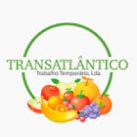 TRANSATLÂNTICO - TRABALHO TEMPORÁRIO LDA. logo, TRANSATLÂNTICO - TRABALHO TEMPORÁRIO LDA. contact details