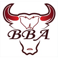 Bulls Business Academy logo, Bulls Business Academy contact details