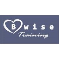 Bwise Training Solutions logo, Bwise Training Solutions contact details