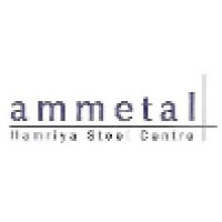 MS AMMETAL FZC logo, MS AMMETAL FZC contact details