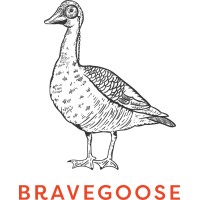 BraveGoose Ltd logo, BraveGoose Ltd contact details