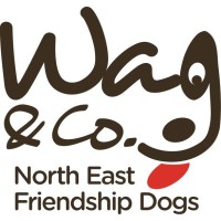 Wag and Company North East Friendship Dogs Ltd logo, Wag and Company North East Friendship Dogs Ltd contact details