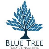 Blue Tree Data Consulting logo, Blue Tree Data Consulting contact details