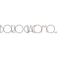 Impresa Borio Giacomo s.r.l. logo, Impresa Borio Giacomo s.r.l. contact details