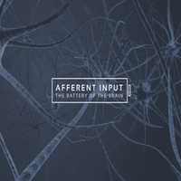 Association of Afferent Input Practitioners logo, Association of Afferent Input Practitioners contact details