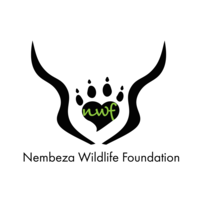 Nembeza Wildlife Foundation logo, Nembeza Wildlife Foundation contact details