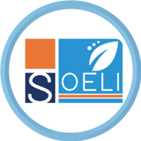 SOELI Consulting logo, SOELI Consulting contact details