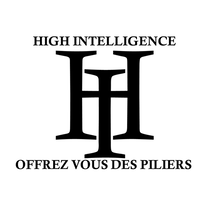 HIGH INTELLIGENCE SARL logo, HIGH INTELLIGENCE SARL contact details