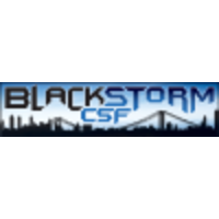 BlackStorm Cyber Security & Forensics LLC logo, BlackStorm Cyber Security & Forensics LLC contact details