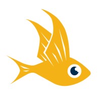 Flying Fish | Digital Analytics & User Experience logo, Flying Fish | Digital Analytics & User Experience contact details