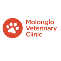 Molonglo Veterinary Clinic logo, Molonglo Veterinary Clinic contact details