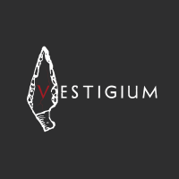 Vestigium Consultores logo, Vestigium Consultores contact details