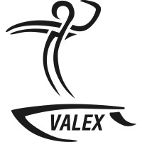 Grupo Valex logo, Grupo Valex contact details