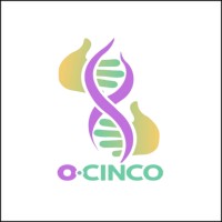 O-CINCO S RL logo, O-CINCO S RL contact details