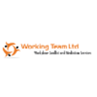 Working Team Ltd logo, Working Team Ltd contact details