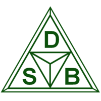 DSB Consulting Inc. logo, DSB Consulting Inc. contact details