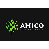 Amico Consulting logo, Amico Consulting contact details