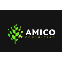 Amico Real Estate logo, Amico Real Estate contact details