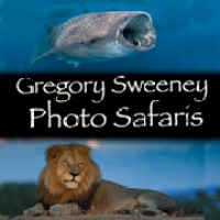 Gregory Sweeney Underwater Adventures logo, Gregory Sweeney Underwater Adventures contact details