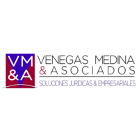 Venegas Medina & Asociados S.A.S. logo, Venegas Medina & Asociados S.A.S. contact details