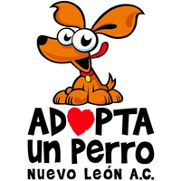 Adopta un perro Nuevo León logo, Adopta un perro Nuevo León contact details