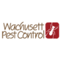 Wachusett Pest Control logo, Wachusett Pest Control contact details