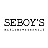 Seboy's logo, Seboy's contact details