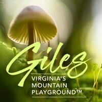 Giles County, VA logo, Giles County, VA contact details