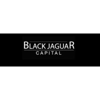 Black Jaguar Capital logo, Black Jaguar Capital contact details