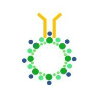 ImmunoACT Pvt. Ltd. logo, ImmunoACT Pvt. Ltd. contact details