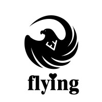 Shenzhen Flying Technology Co.,Ltd logo, Shenzhen Flying Technology Co.,Ltd contact details