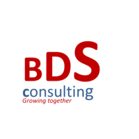 BDSConsulting logo, BDSConsulting contact details