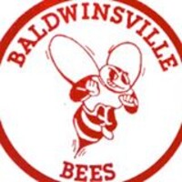 Baldwinsville Central School District logo, Baldwinsville Central School District contact details