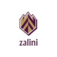 Zalini Group logo, Zalini Group contact details