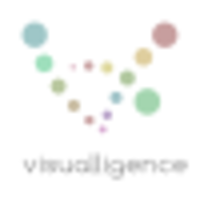 visualligence logo, visualligence contact details