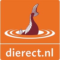 Dierect.nl logo, Dierect.nl contact details