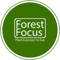 Forest Focus logo, Forest Focus contact details