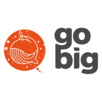 Go Big Digital Agency logo, Go Big Digital Agency contact details