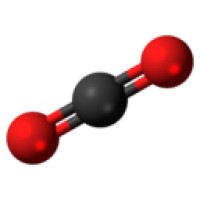 Actuaries' Carbon Collaboration logo, Actuaries' Carbon Collaboration contact details