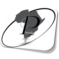 Phezulu Procurement Enterprises logo, Phezulu Procurement Enterprises contact details