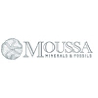 Moussa Minerals & Fossils logo, Moussa Minerals & Fossils contact details