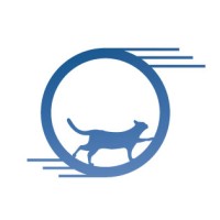 One Fast Cat logo, One Fast Cat contact details