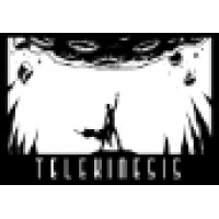 Telekinesis Entertainment logo, Telekinesis Entertainment contact details