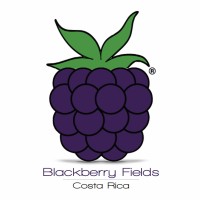 Blackberry Fields logo, Blackberry Fields contact details