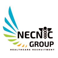 Necnic Group, LLC logo, Necnic Group, LLC contact details