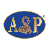 ASP (Advanced Security Protection Ltd) logo, ASP (Advanced Security Protection Ltd) contact details