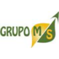 Grupo M y S logo, Grupo M y S contact details