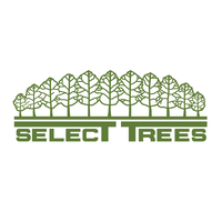 Select Trees Enterprises, Inc. logo, Select Trees Enterprises, Inc. contact details