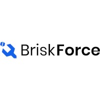 BriskForce, Inc logo, BriskForce, Inc contact details